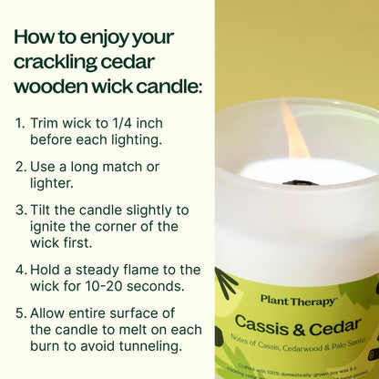 Cassis & Cedar Naturally Scented Candle