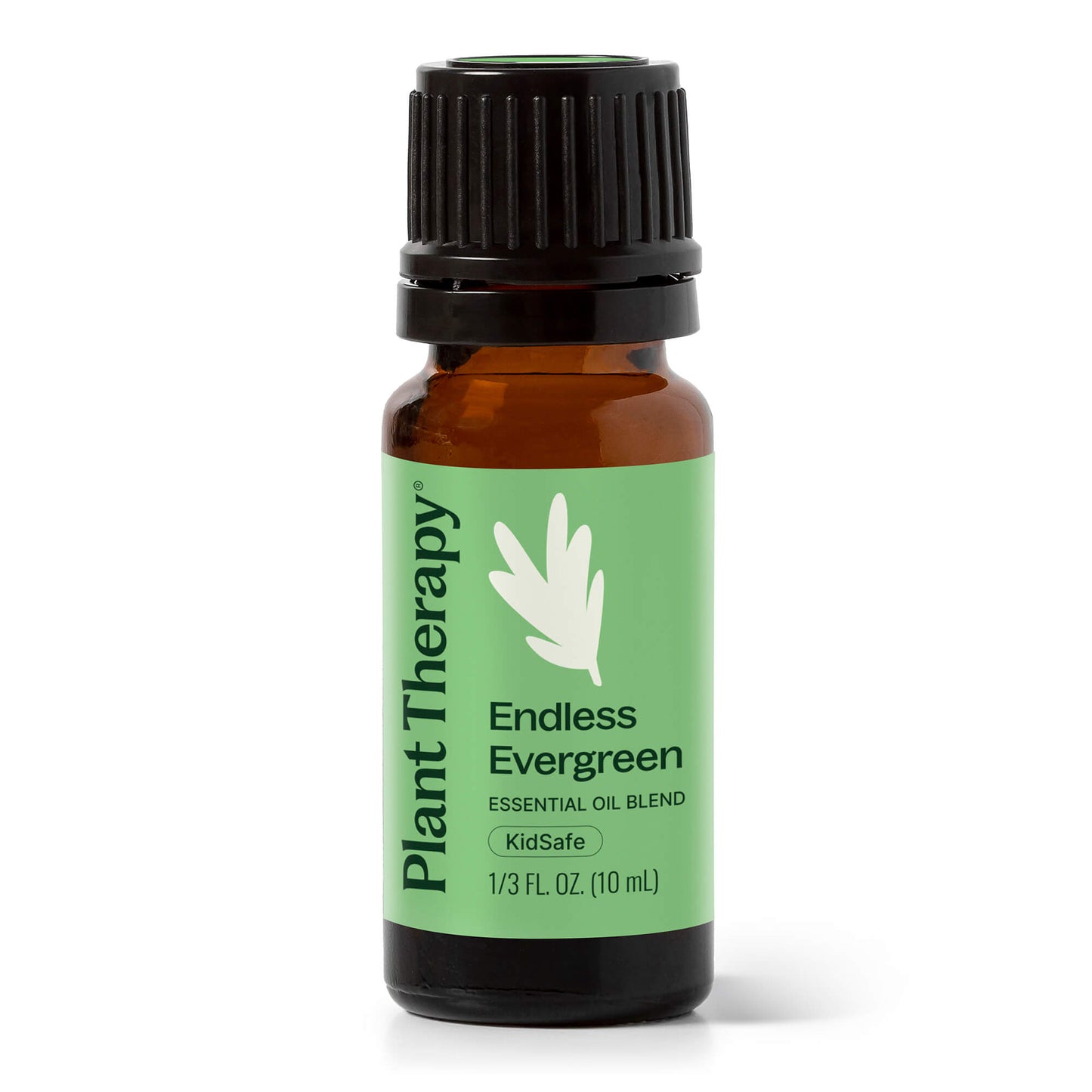 Endless Evergreen Essential Oil Blend