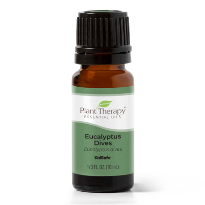 Eucalyptus Dives Essential Oil