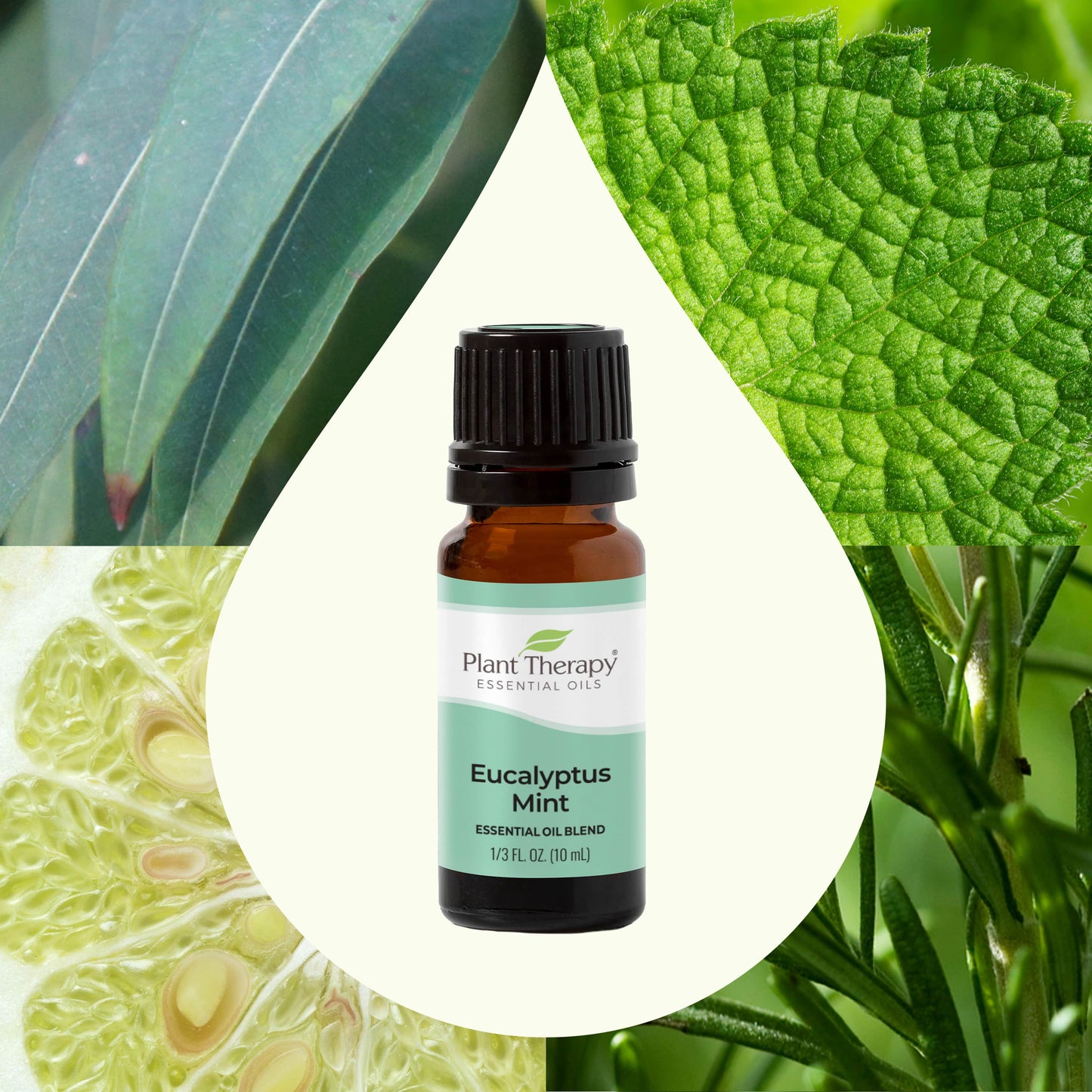 Eucalyptus Mint Essential Oil Blend