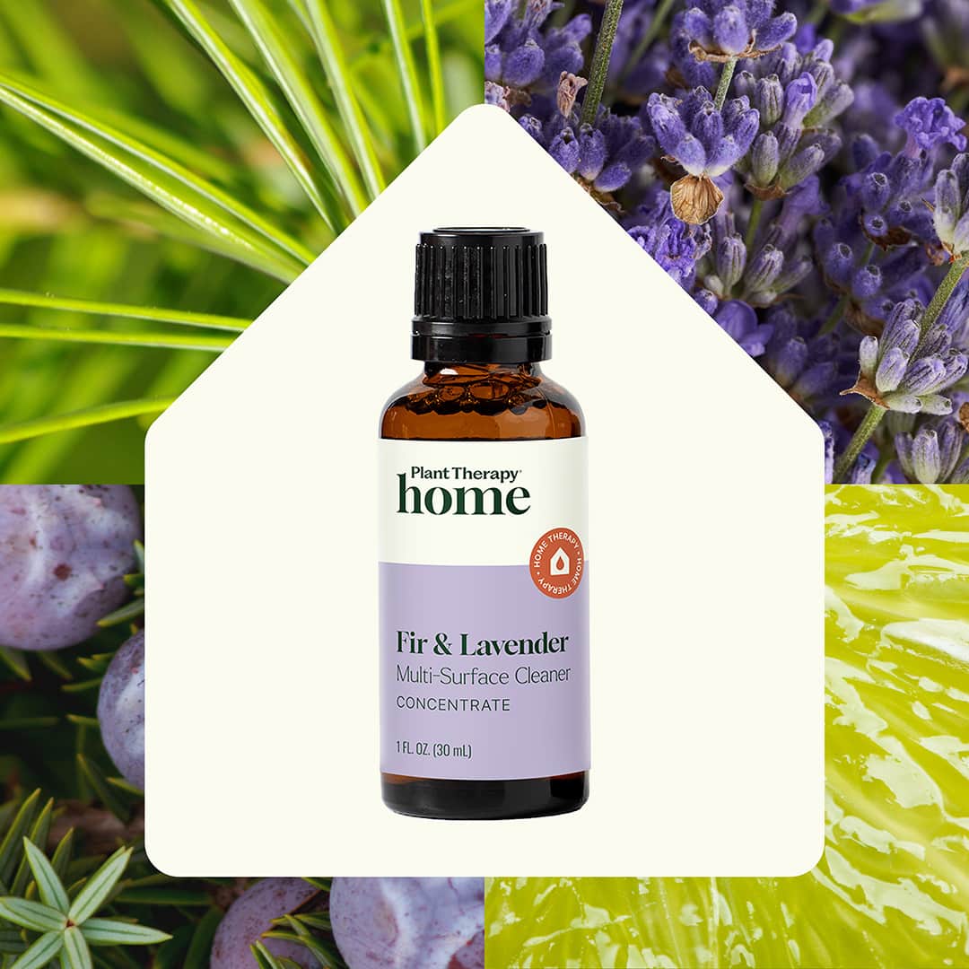 Fir & Lavender Multi-Surface Cleaner Concentrate 2-Pack