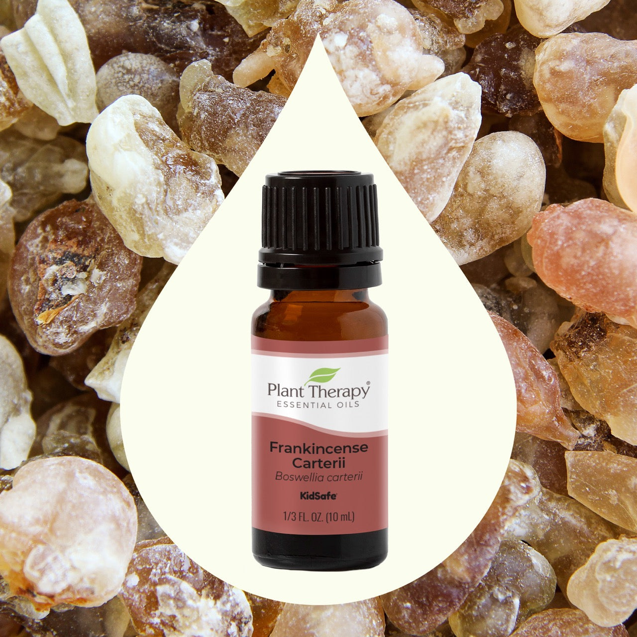 Frankincense Carterii Essential Oil