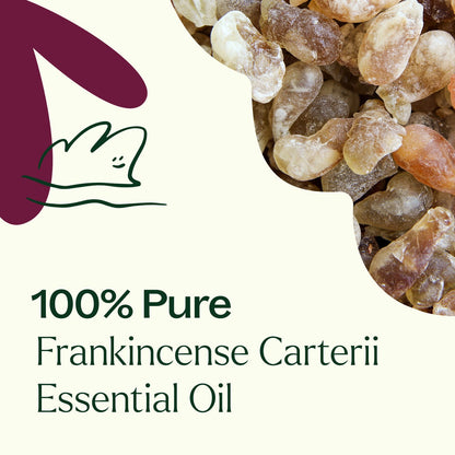 Frankincense Carterii Essential Oil