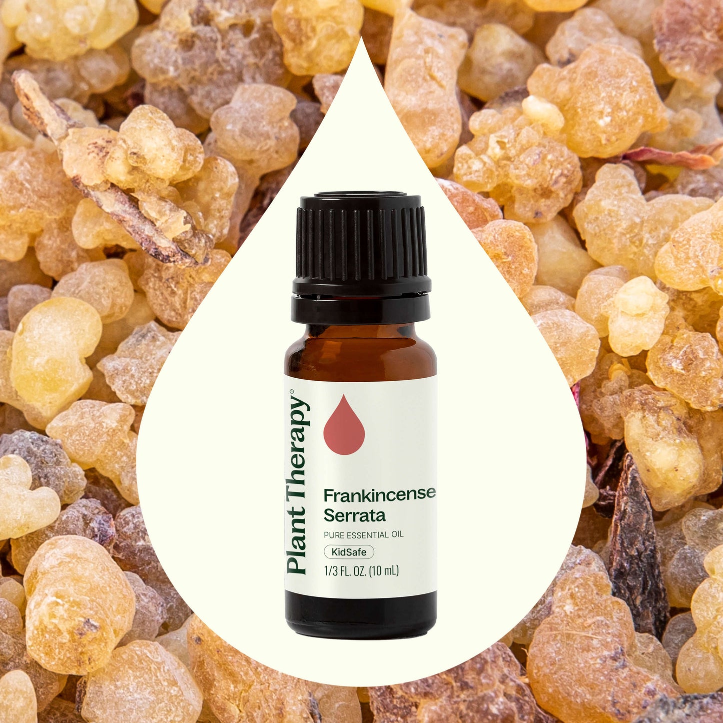 Frankincense Serrata Essential Oil