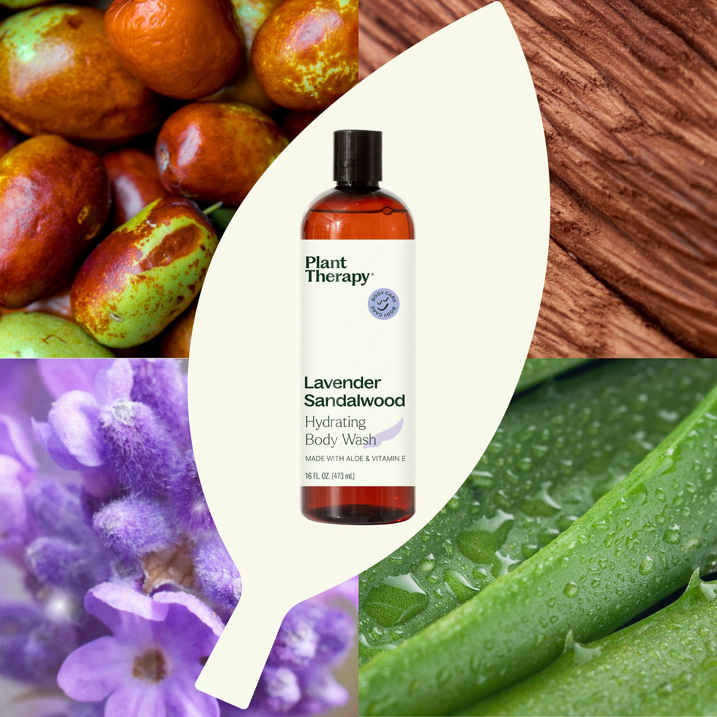 Lavender Sandalwood Body Wash