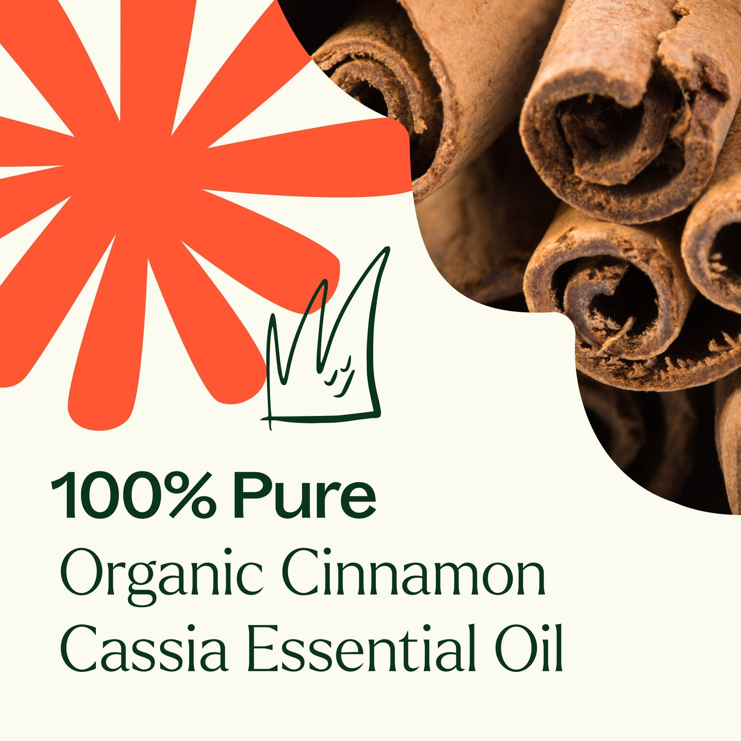 Organic Cinnamon Cassia Essential Oil