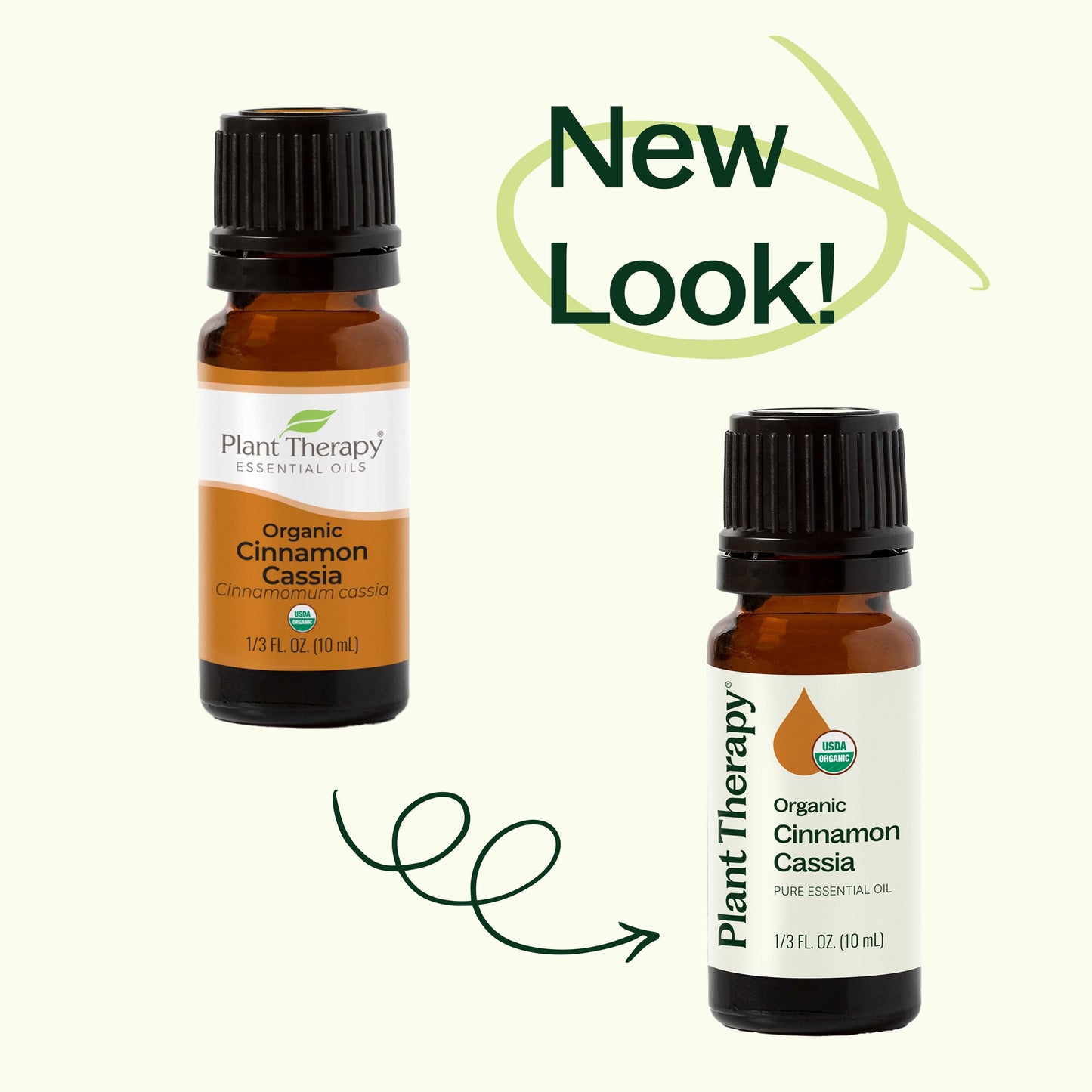 Organic Cinnamon Cassia Essential Oil