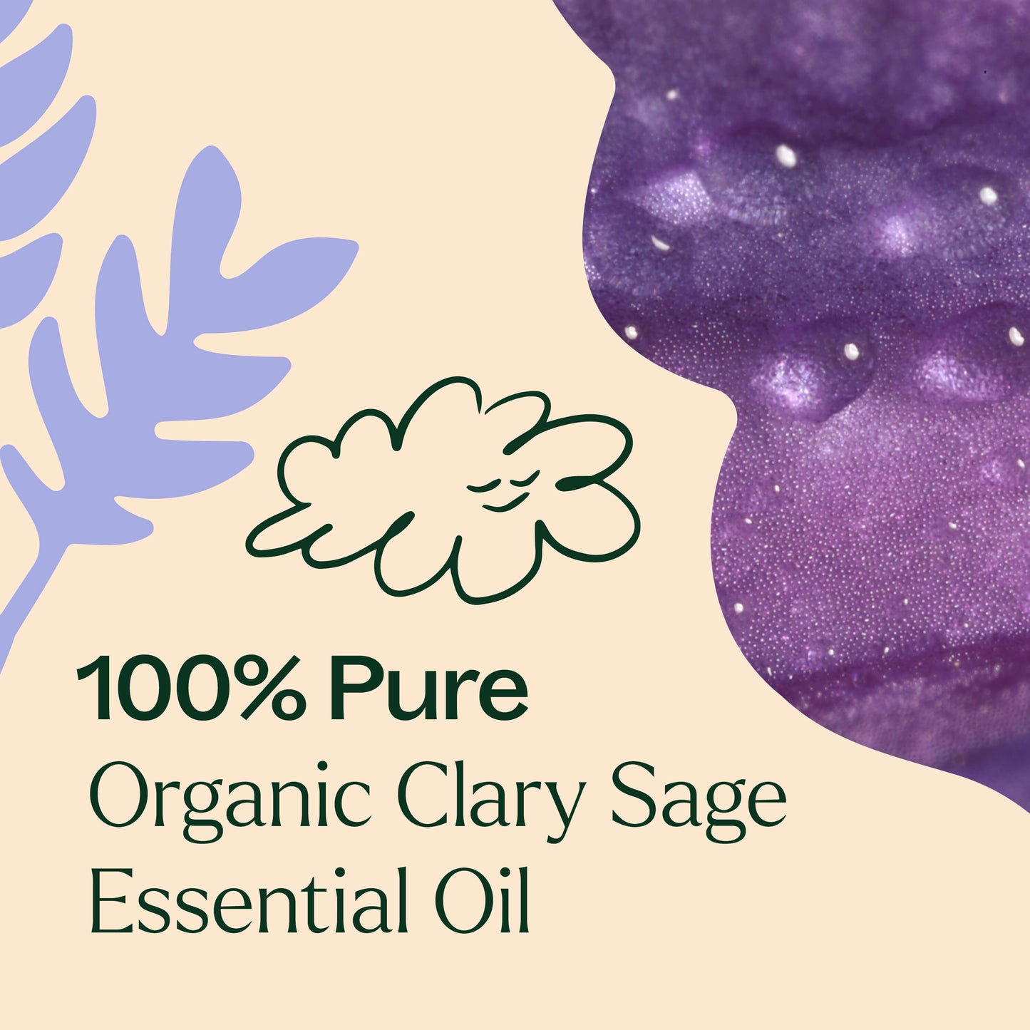 Organic Clary Sage Essential Oil