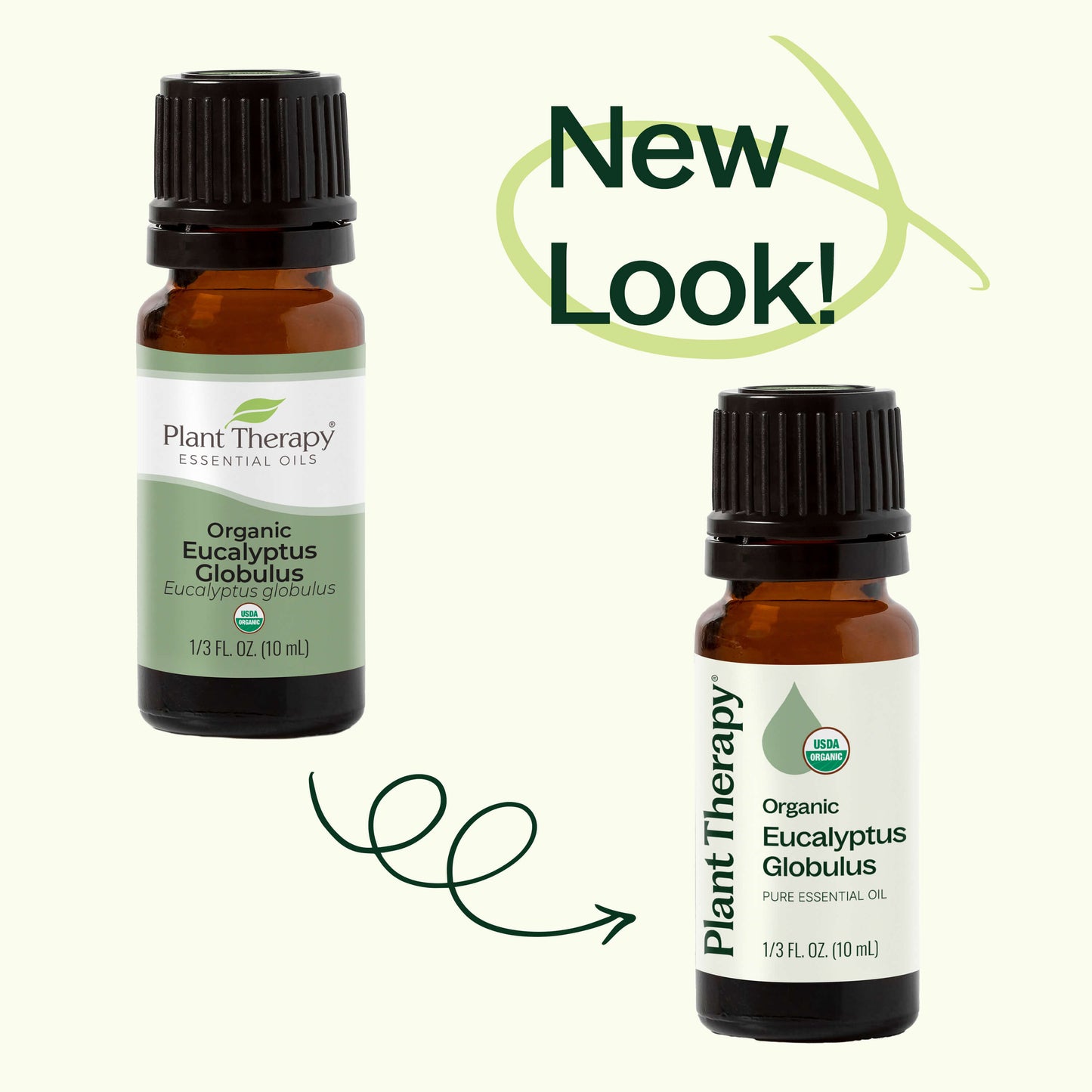 Organic Eucalyptus Globulus Essential Oil