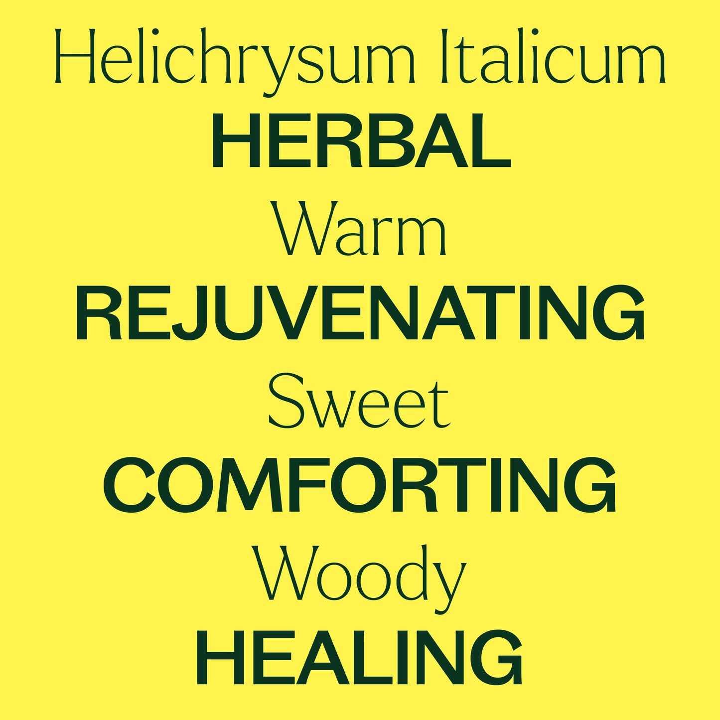 Organic Helichrysum Italicum Essential Oil