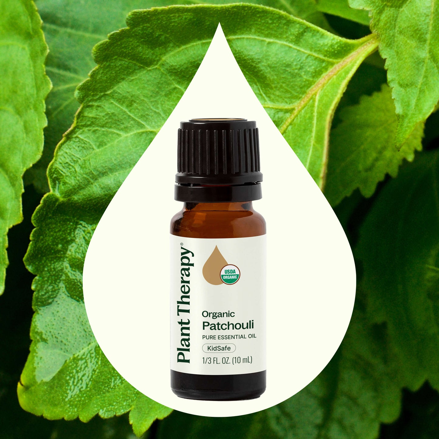 Organic Patchouli Essential Oil