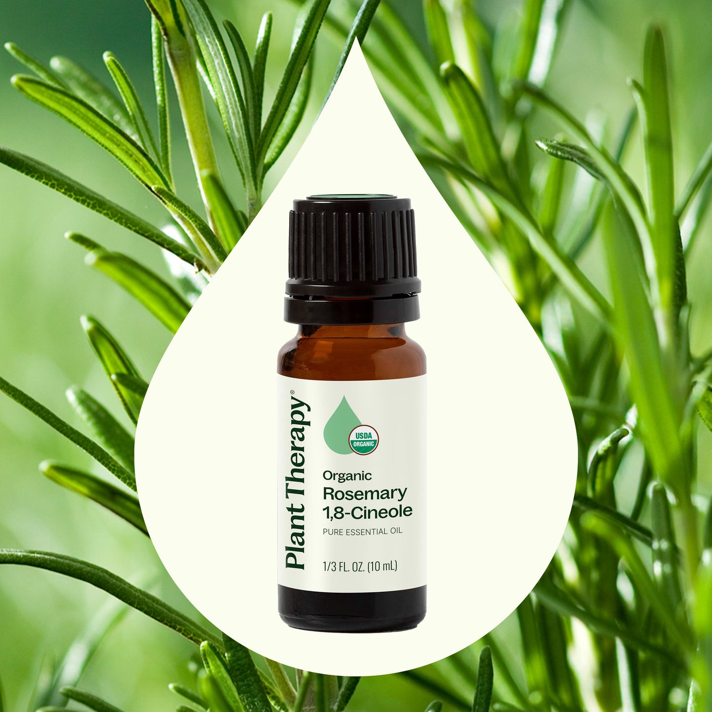 Organic Rosemary 1,8-Cineole Essential Oil