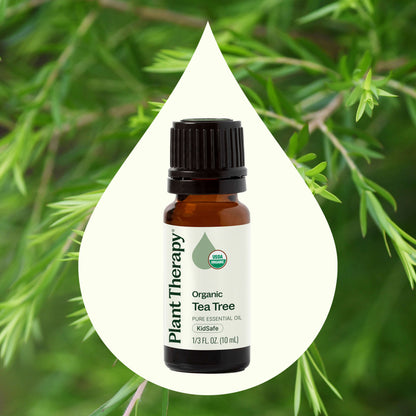 Organic Tea Tree Essential Oil