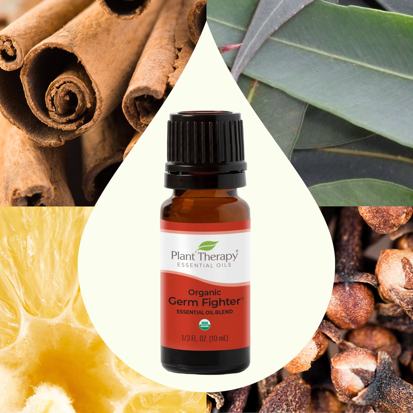 Organic Germ Fighter Essential Oil