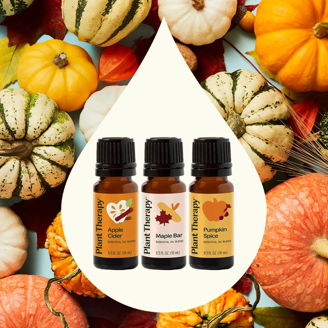 Plant Therapy Pumpkins & Porch Swings Essential Oil Blend - Thumbnail 4