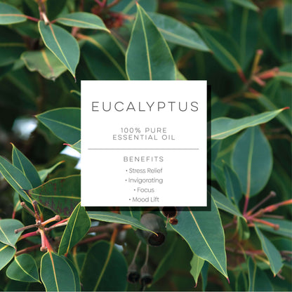 Eucalyptus - 100% Pure Essential Oil - 30mL