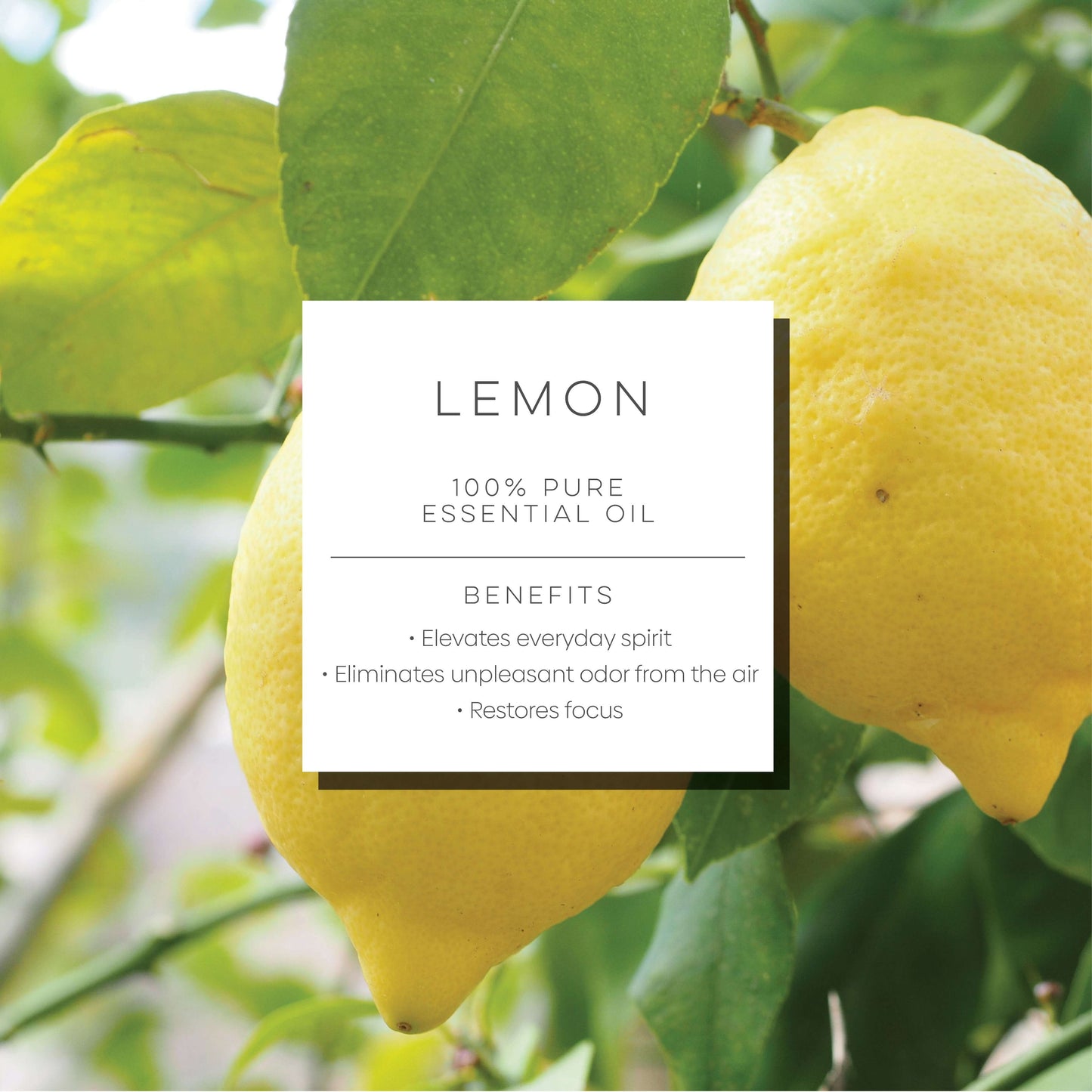 Lemon - 100% Pure Essential Oil