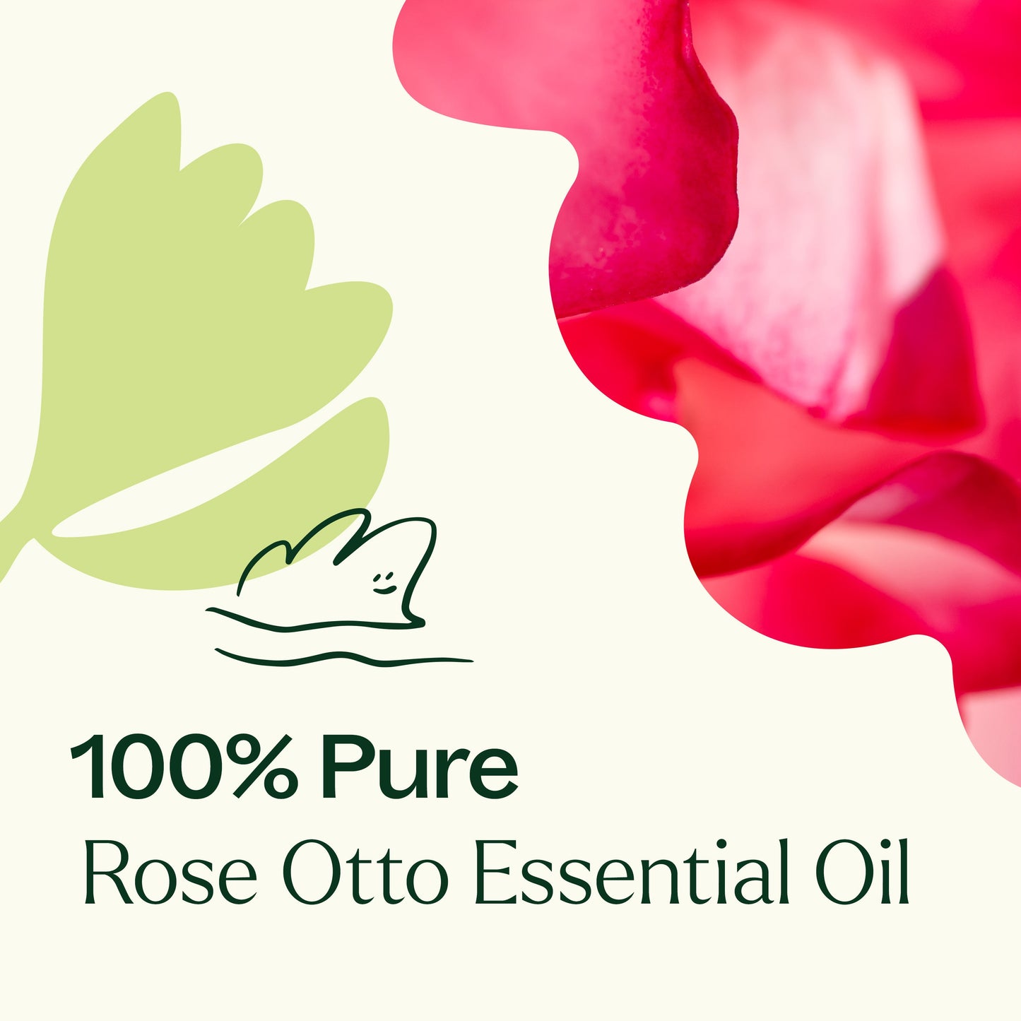 Rose Otto Essential Oil