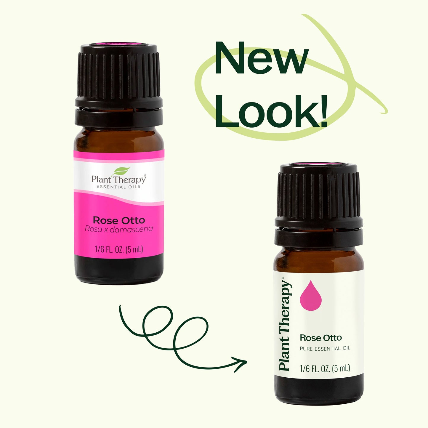 Rose Otto Essential Oil