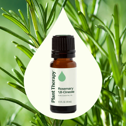 Rosemary 1,8-Cineole Essential Oil