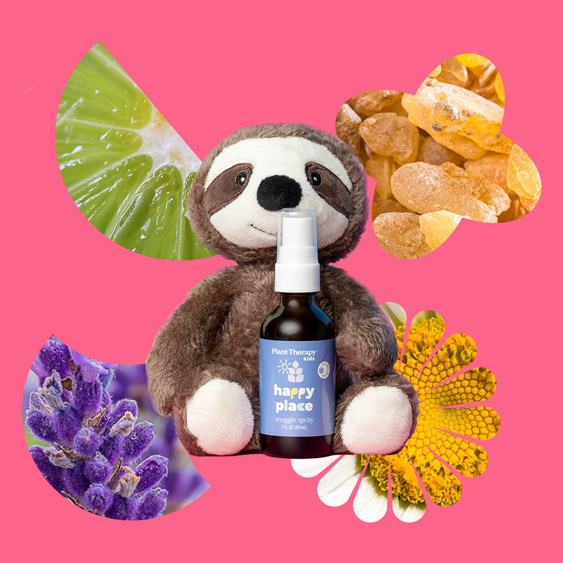Snuggle Sloth