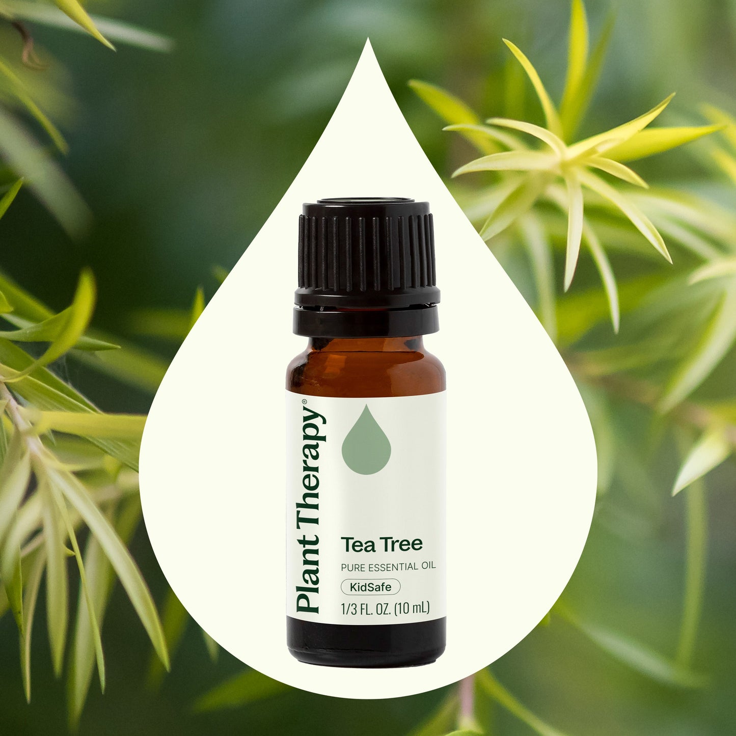 Tea Tree Essential Oil