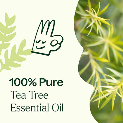 Tea Tree Essential Oil