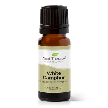 White Camphor Essential Oil