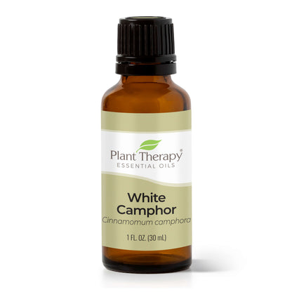 White Camphor Essential Oil