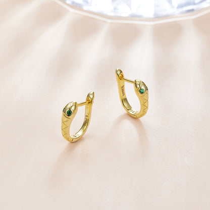 925 Sterling Silver Plated Platinum CZ Earrings for Women
