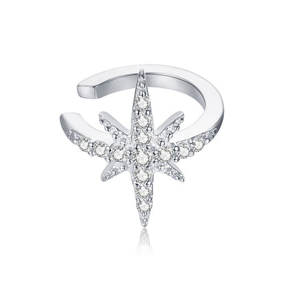 925 Sterling Silver Plated Platinum Pavé Setting CZ Earrings for Women