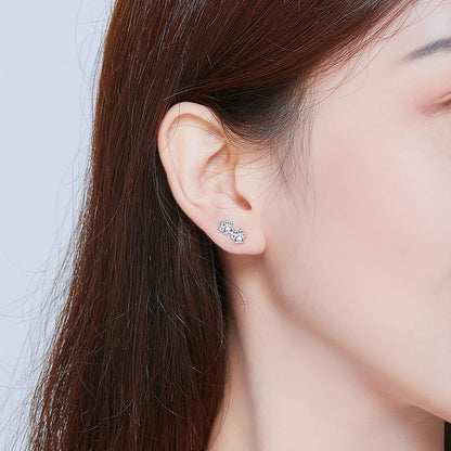 925 Sterling Silver Earrings for Women