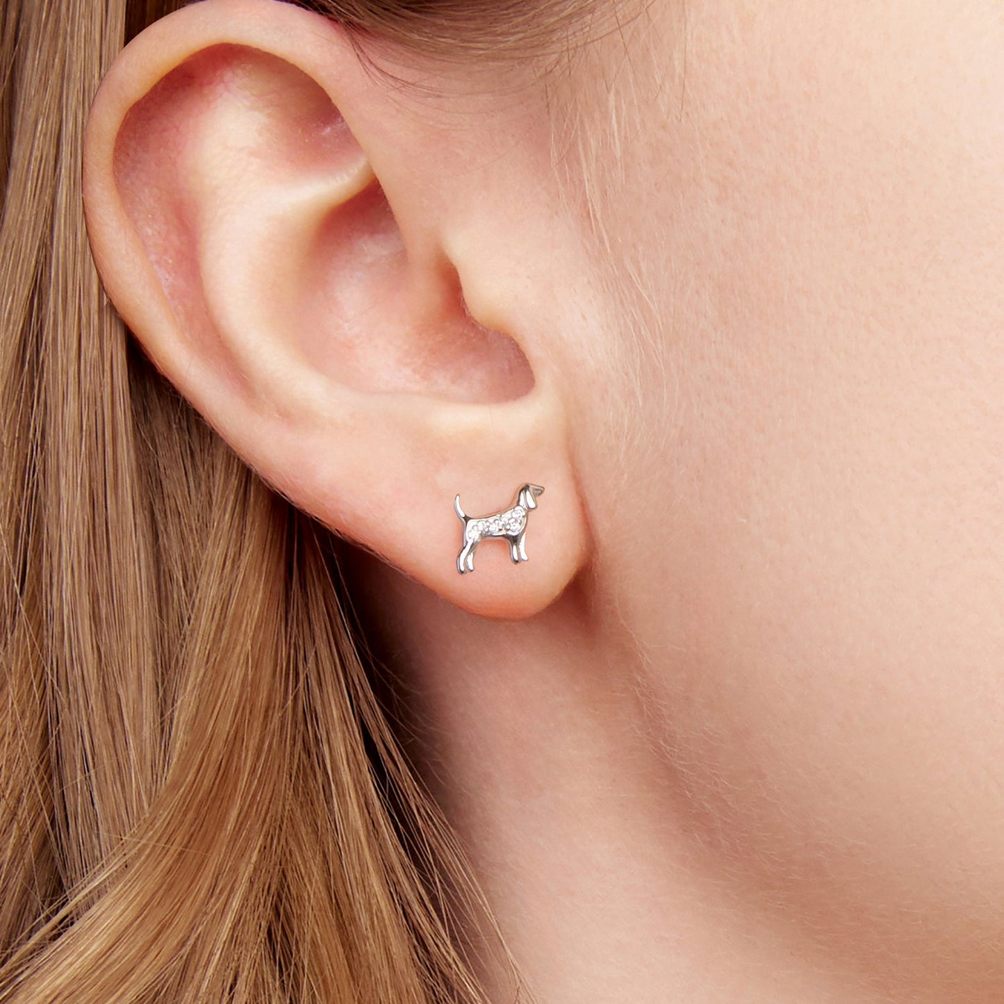 925 Sterling Silver Pavé Set CZ White Gold Plated Earrings for Women
