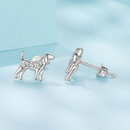 925 Sterling Silver Pavé Set CZ White Gold Plated Earrings for Women