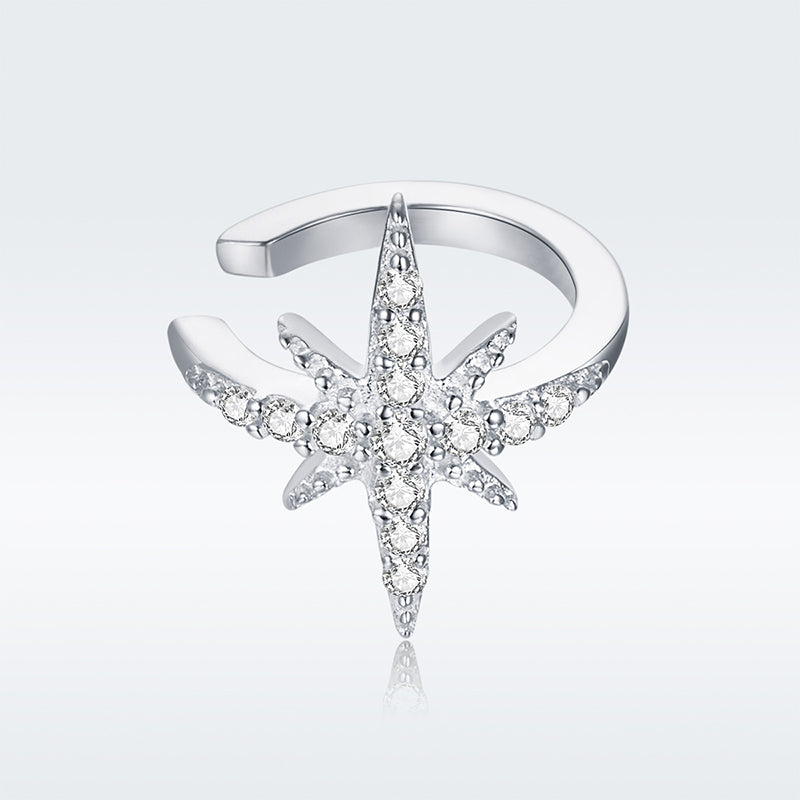 925 Sterling Silver Plated Platinum Pavé Setting CZ Earrings for Women