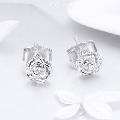 925 Sterling Silver Earrings for Women