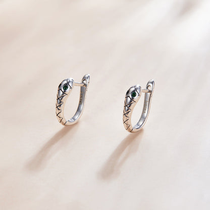 925 Sterling Silver Plated Platinum CZ Earrings for Women