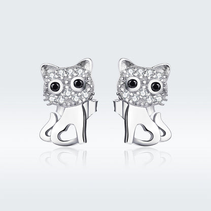 S925 Sterling Silver Earrings for Women