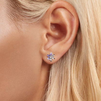 925 Sterling Silver Earrings with Enamel and Transparent Glass for Women