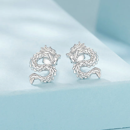 925 Sterling Silver Plated White Gold Earrings