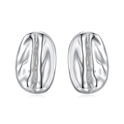 925 Sterling Silver Earrings for Women