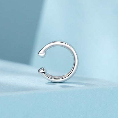 S925 Sterling Silver Plated Platinum Earrings