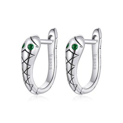 925 Sterling Silver Plated Platinum CZ Earrings for Women