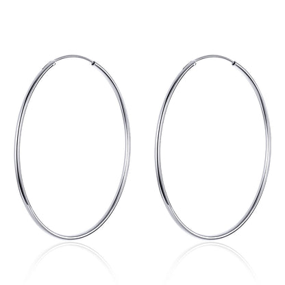 S925 Sterling Silver Earrings for Women