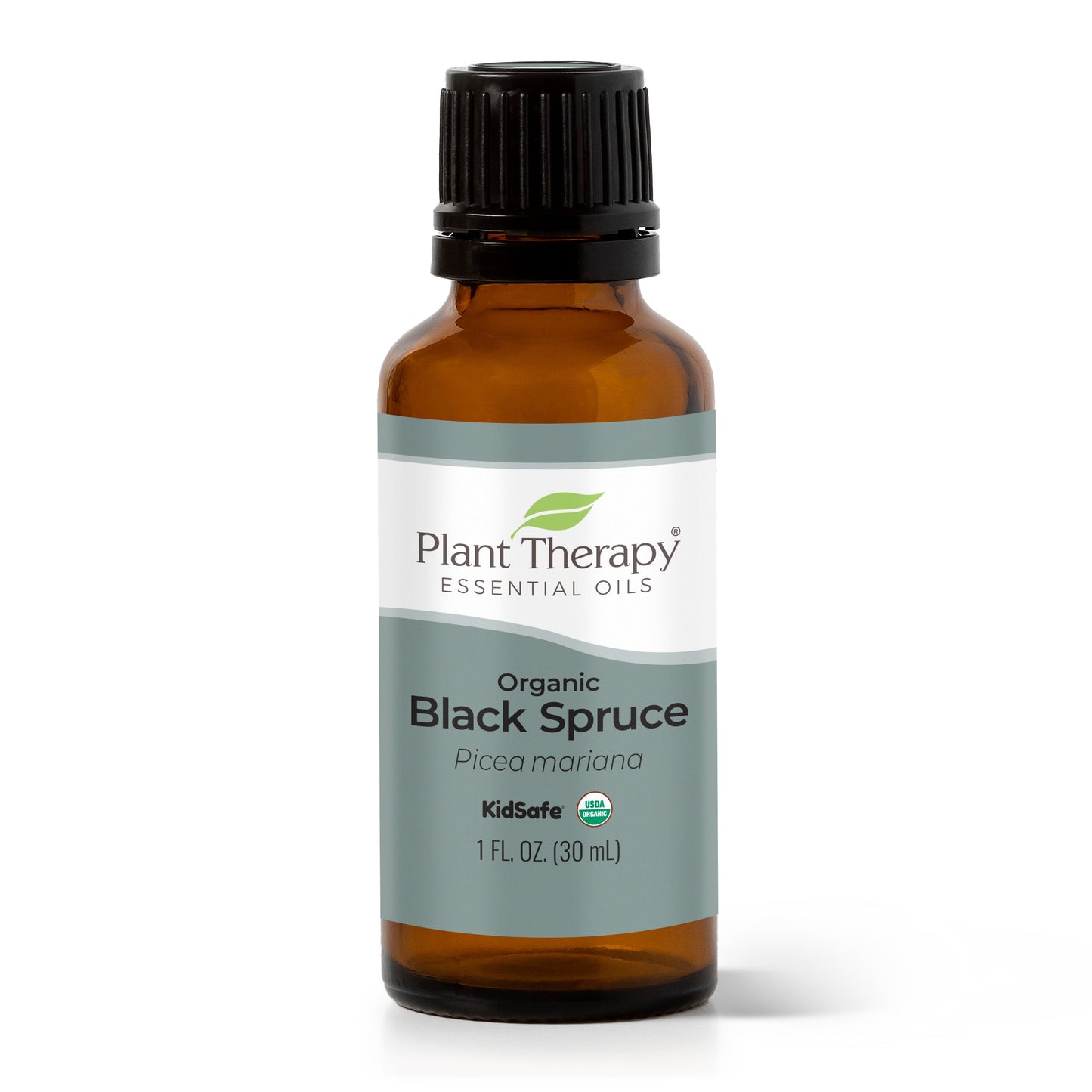 Organic Black Spruce Essential Oil