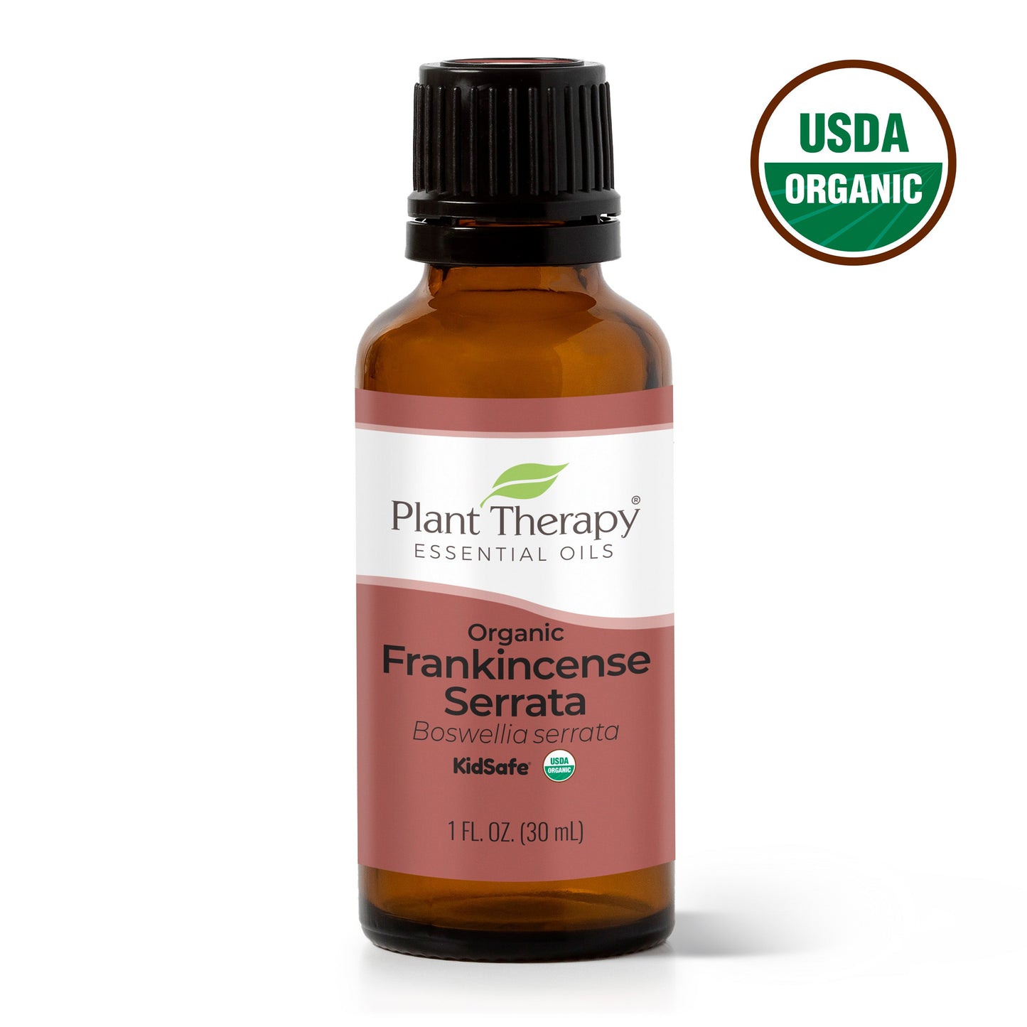 Organic Frankincense Serrata Essential Oil