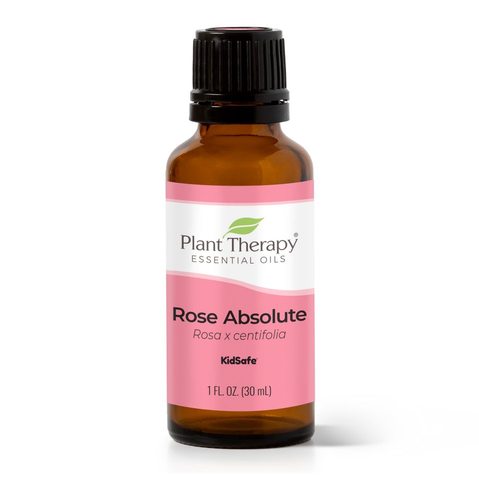 Rose Absolute Essential Oil