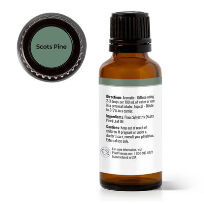 Scots Pine Essential Oil