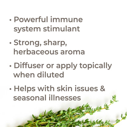 Thyme Thymol Essential Oil